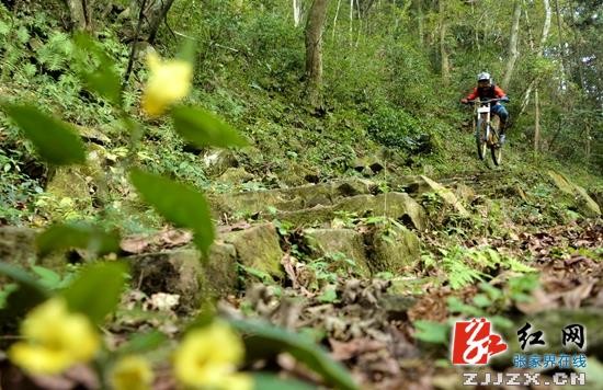 世界首條峰林極限速降賽道落戶張家界黃石寨景區(qū)