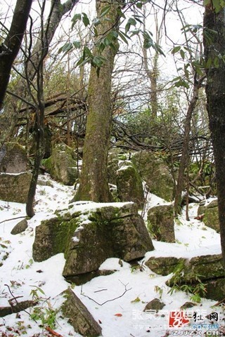 張家界：天門四月天 春雪云海齊露臉