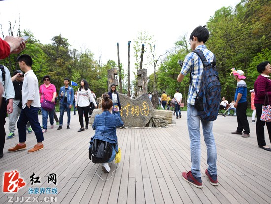 張家界天門山現(xiàn)云霧日暈奇觀 錯峰游客爆棚