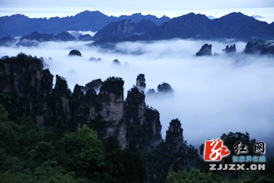 張家界武陵源：雨后云海飄渺奇美如幻（圖）