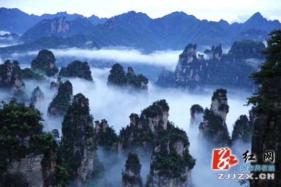 張家界武陵源：雨后云海飄渺奇美如幻（圖）