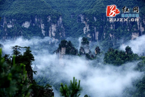 張家界武陵源：雨后云海飄渺奇美如幻（圖）